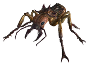 Гигантский муравей (1).png