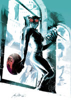 2498497-catwoman by rafaelalbuquerqueart d4hjwrs