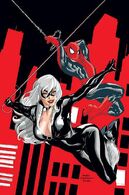 Black cat cover