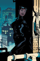 86814-169917-catwoman