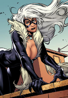 1blackcat11