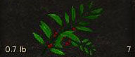 Fennah-berries.jpg