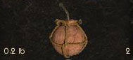 Black-powder-bomb.jpg