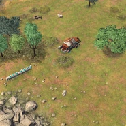 Sheep following a packed Ger