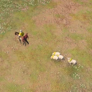 A Scout carrying a Sheep carcass