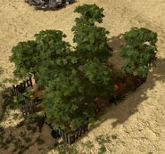 In-game Mango Grove in the Definitive Edition