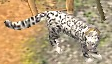 An in-game Snow Leopard