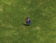 A Hoplite in the Definitive Edition