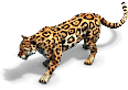 Jaguar prev aoe2de.png