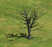 TreeI.png (121 KB) Tree I