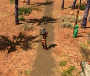 Barter Merchant AoE3DE.jpg (247 KB) A Barter Merchant near a Trading Post in Central/South American maps in the Definitive Edition