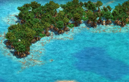 Giant Mangrove Jungles growing throughout the shallows