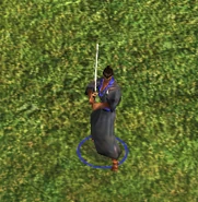 An in-game Wokou Ronin