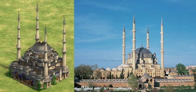 Wonder-turks-new