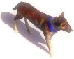 Variant 1 of the War Dog in Age of Empires III