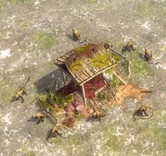 Tibetan Macaques guarding Treasure in Himalayas