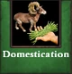 IconeTech DomesticationAoE2-Disponible