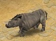 A Rhino in-game