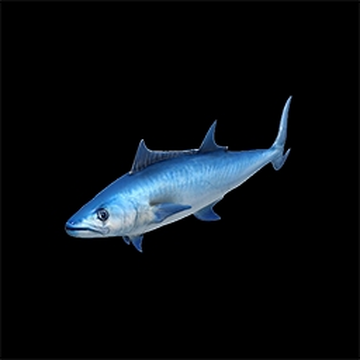 Shore Fish, Age of Empires Series Wiki