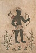 A Nubian archer depicted in a 16th century Portuguese codex