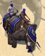 War elephant age of empires 3