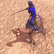 Berber Camel Rider fires a musket