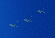 Mahi-mahi as they appear in Age of Mythology