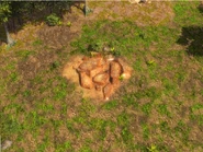 Copper.png (2.34 MB) An in-game Copper Mine