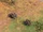 Nest of Bees