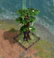 Aomr goshinboku tree.png (1.02 MB) Goshinboku Tree