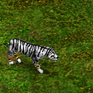 Player 2 White Tiger