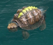 War Turtle in Retold