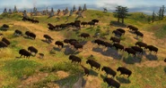 Bison great plains.png (2.31 MB) Bison in the Great Plains