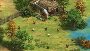 Chickens