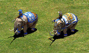 The Battle Elephant (on the left) and its Elite counterpart