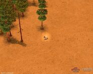 The Golden Fleece, as it appears in-game