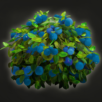 Blueberrybush portrait