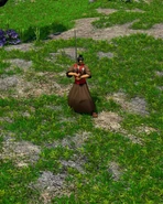 In-game Masterless Samurai in the Definitive Edition since update 15.59076