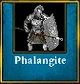 Phalangite