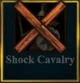 Shock Cavalry