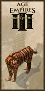 Tiger history portrait