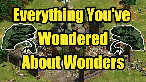 Everything You've Wondered About Wonders