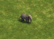 An Elephant in the Definitive Edition