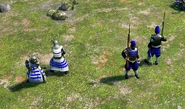 Boneguard Swordsmen (left) and Boneguard Musketeers in the Definitive Edition