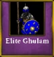Elite Ghulam