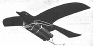 Bird-shaped rocket bomb of China 2