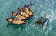 Four Fishing Boats gathering coin from a Whale