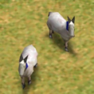 Two Goats in Age of Mythology