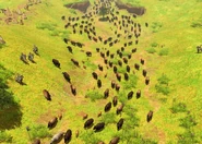 Herd bison.png (1.8 MB) A herd of bison on the Great Plains