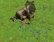 Close-up of the Lush with flowers with the player's color in Retold